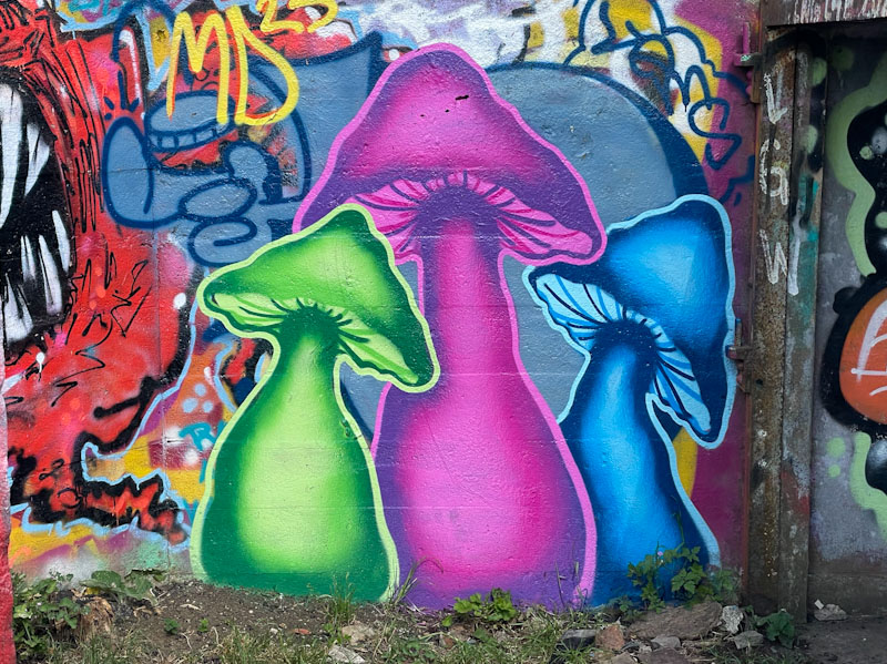 Dobz, Purdown, Bristol, May 2025