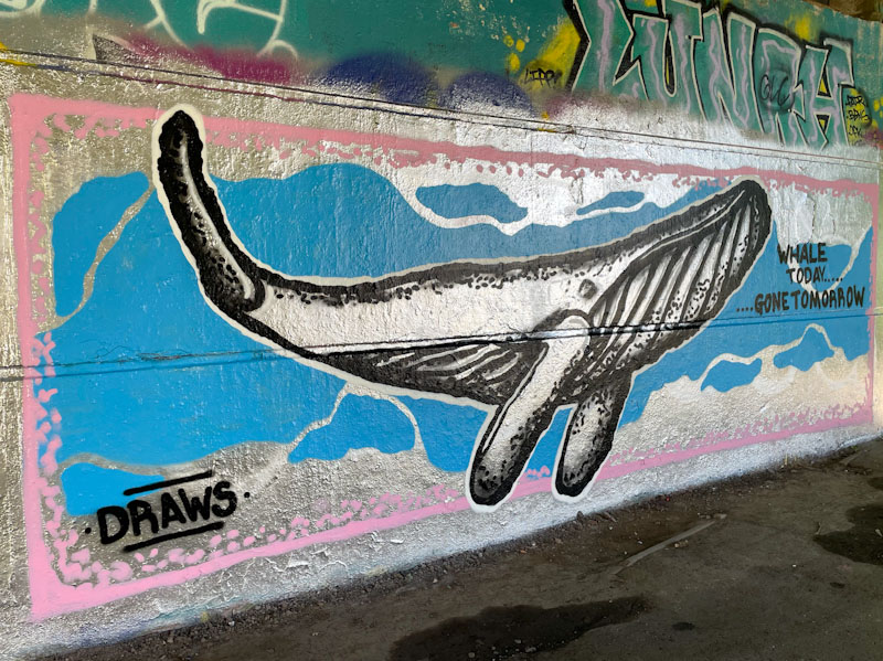 Mr Draws, Brunel Way, Bristol, May 2025