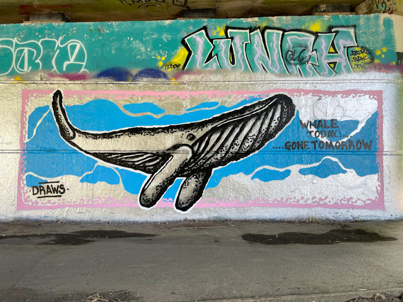 Mr Draws, Brunel Way, Bristol, May 2025