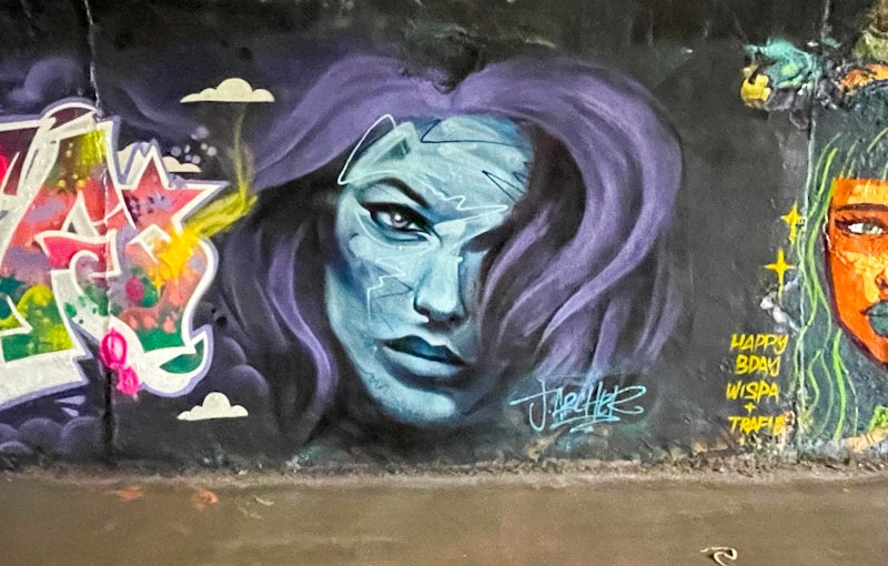 7038. St Werburghs tunnel&nbsp;(503)