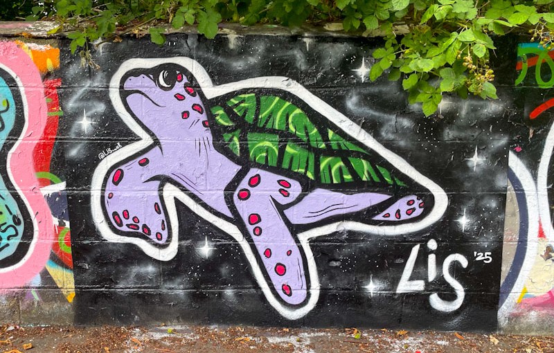 7041. St Werburghs tunnel&nbsp;(514)