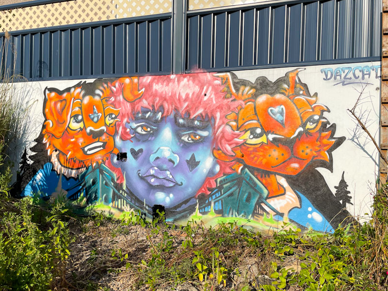 Daz Cat, Knowle West, Bristol, July 2025