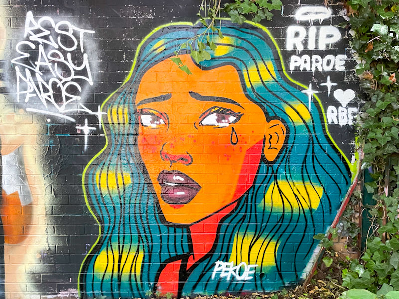 Pekoe, Sparke Evans Park, Bristol, July 2025