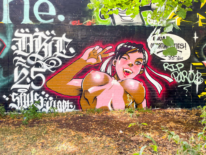 Stivs, Sparke Evans Park, Bristol, July 2025