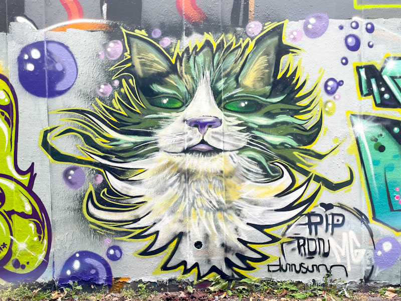 Dun Sum, M32 roundabout, Bristol, July 2025