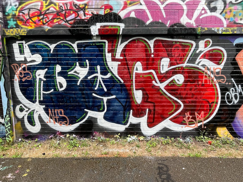 Bags, River Avon, Bristol, August 2025