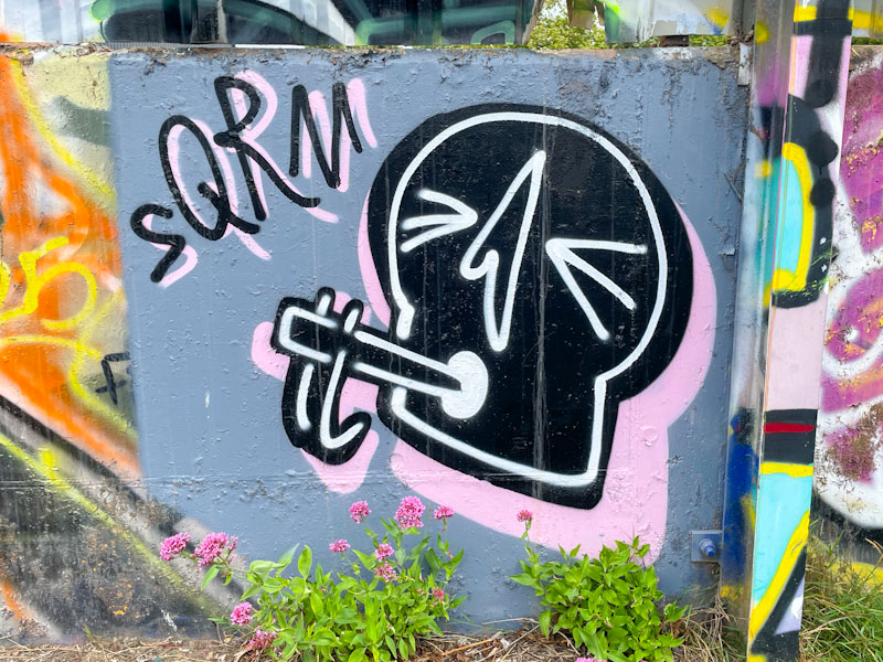 Squarms, River Avon, Bristol, August 2025