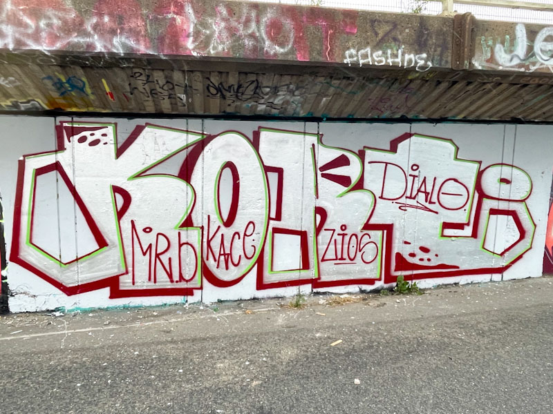 Cort, M32 Cycle Path, Bristol, August 2025