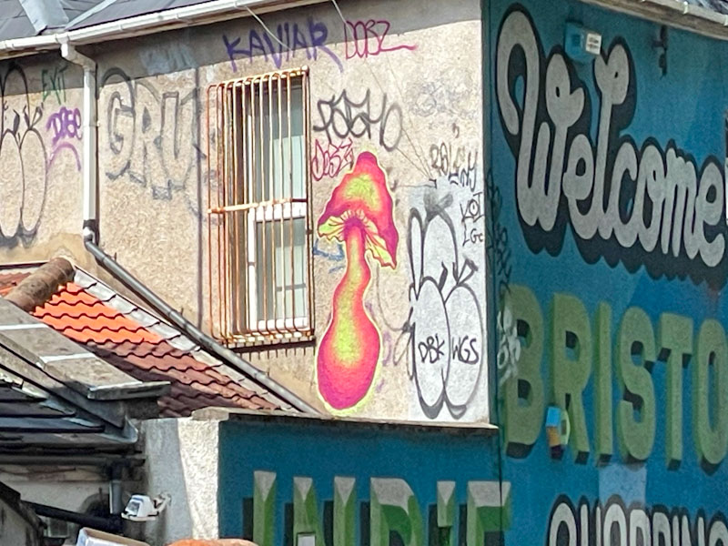 Dobz, Station Road, Bristol, August 2025