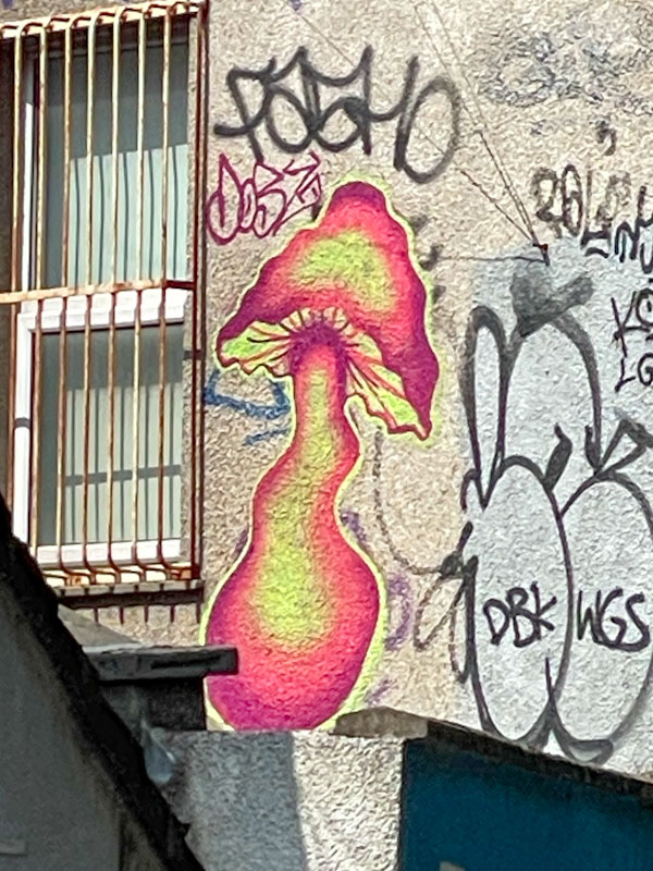 Dobz, Station Road, Bristol, August 2025