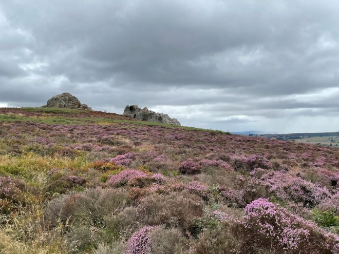 Nipstone Rock, Stiperstones Landscape National Nature Reserve, Shropshire, August 2025