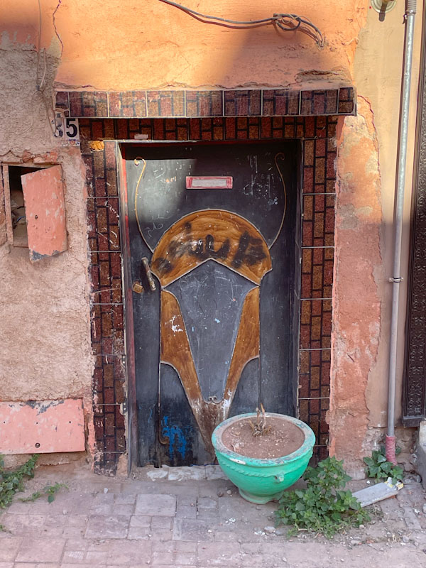 Metal door and plant pot, Derb Oualidine, Marrakesh, Morocco, January 2025
