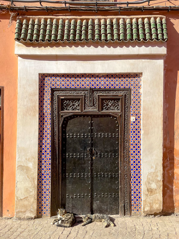 Tiled portico, stone surround, tile decorations, carved wooden frame, studded doors and two beautiful cats, this door has it all, Ksibt Nhass, Marrakesh, Morocco, January 2025