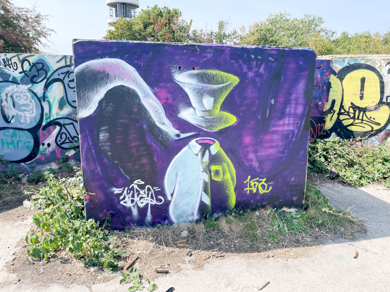 Mr Klue, Purdown, Bristol, August 2025