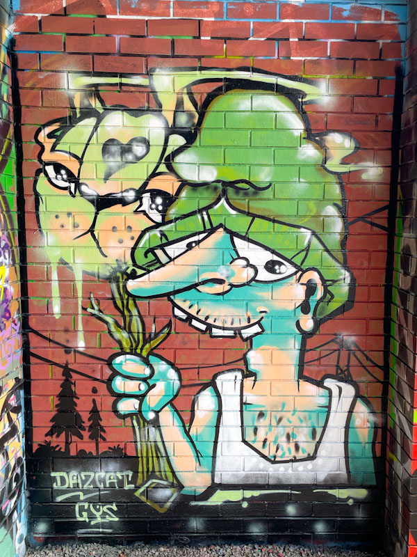 Daz Cat, Cumberland Basin, Bristol, August 2025