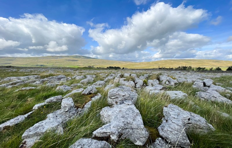 Limestone pavement
