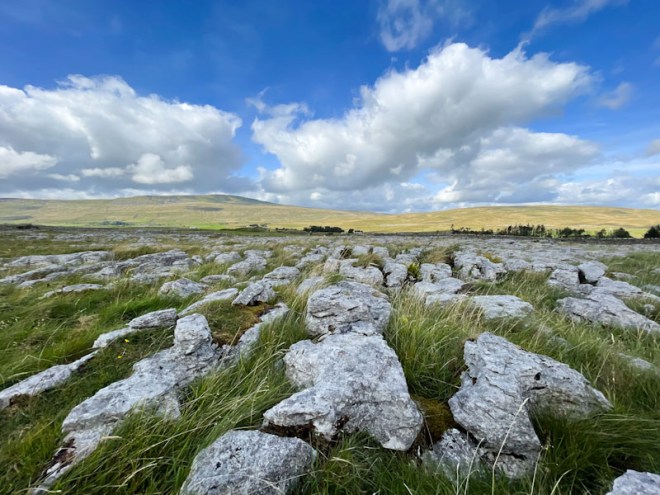 Limestone pavement, Ingleborough National Nature Reserve, North Yorkshire, September 2025
