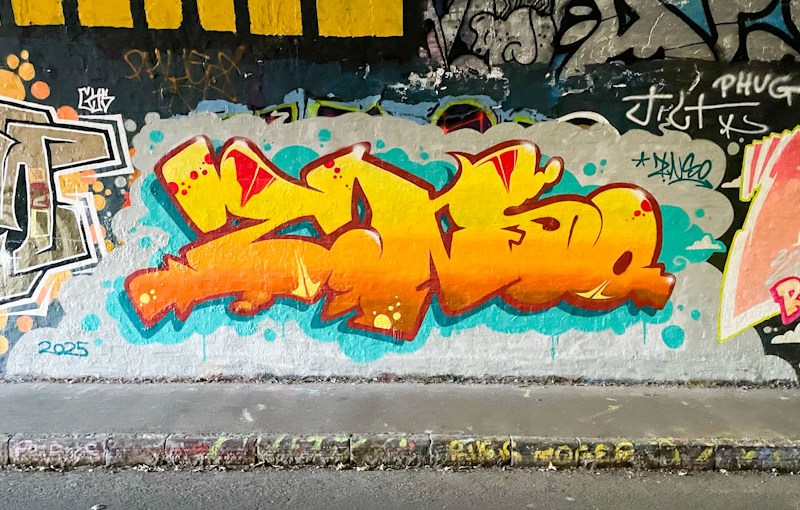 7204. St Werburghs tunnel&nbsp;(527)