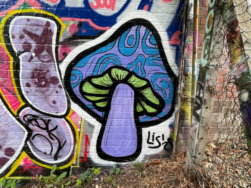 Lis, Montpelier Park, Bristol, September 2025