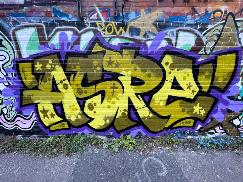 Asre, River Avon, Bristol, September 2025