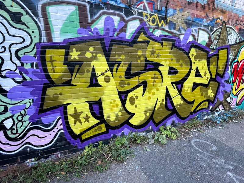 Asre, River Avon, Bristol, September 2025