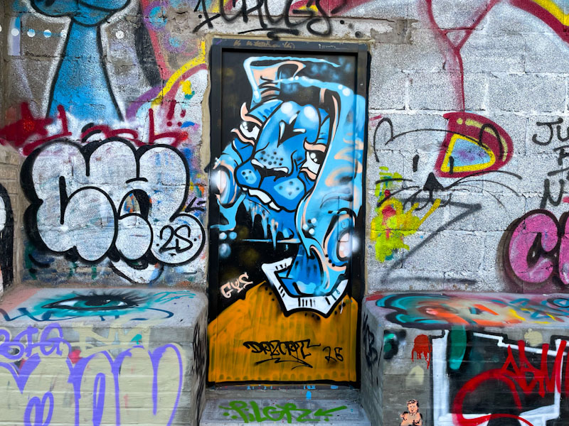 Daz Cat, River Avon, Bristol, September 2025