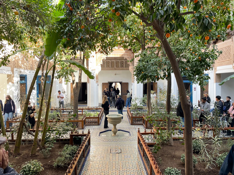 Garden of Bahia Palace with fruit trees, Marrakesh, Morocco, January 2025