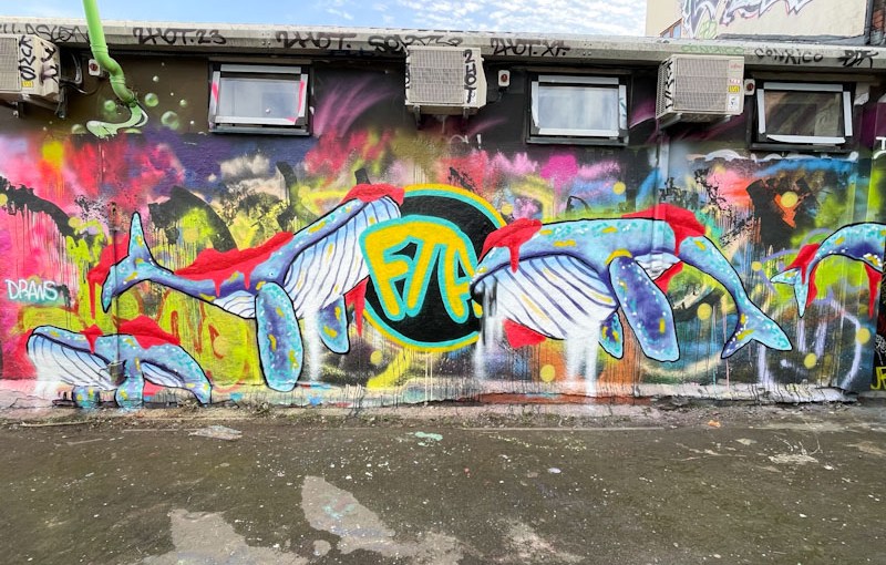 7297. Dean Lane skate park&nbsp;(885)