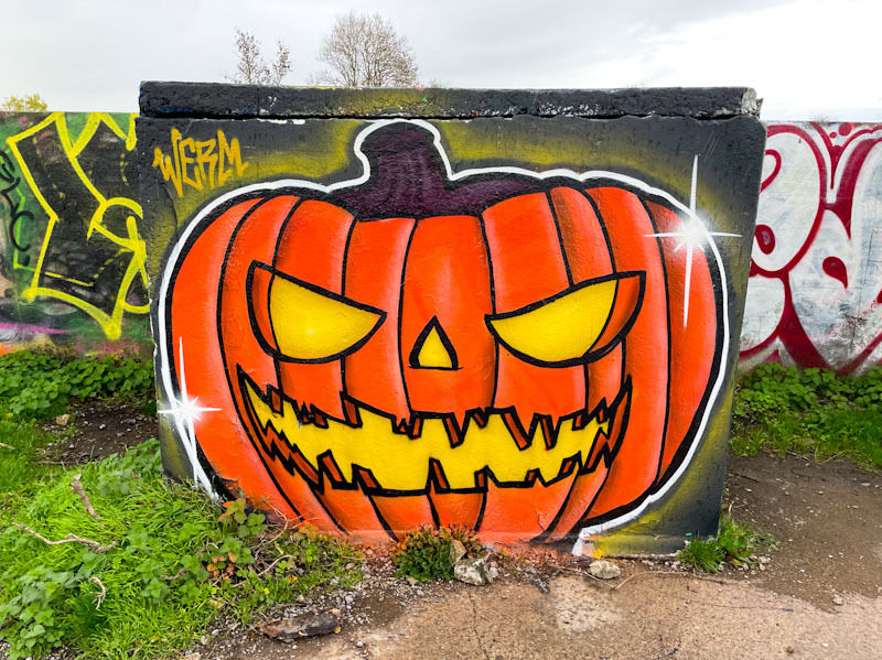 Werm, Purdown, Bristol, November 2025