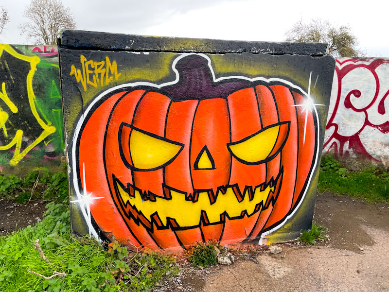 Werm, Purdown, Bristol, November 2025