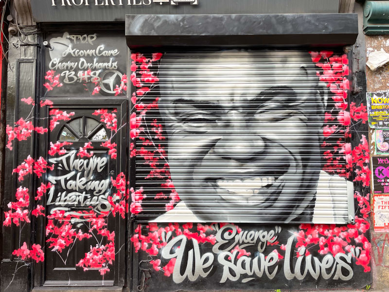 Vandalist, Stokes Croft, Bristol, November 2025