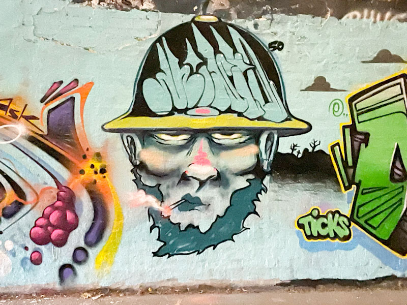 Minto, St Werburghs, Bristol, November 2025