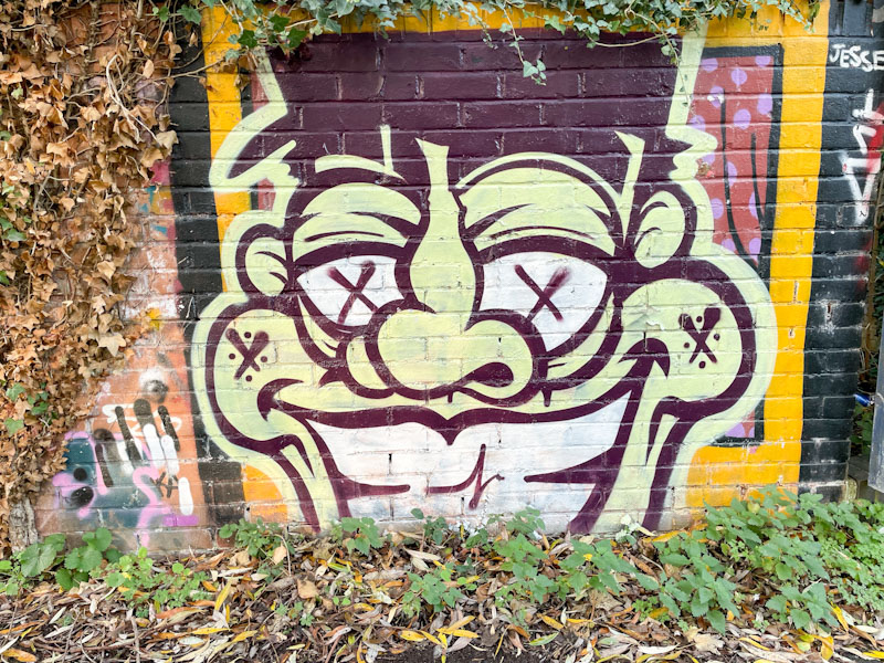 Asre, River Avon, Bristol, November 2025