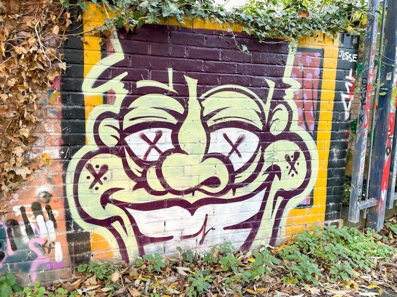 Asre, River Avon, Bristol, November 2025