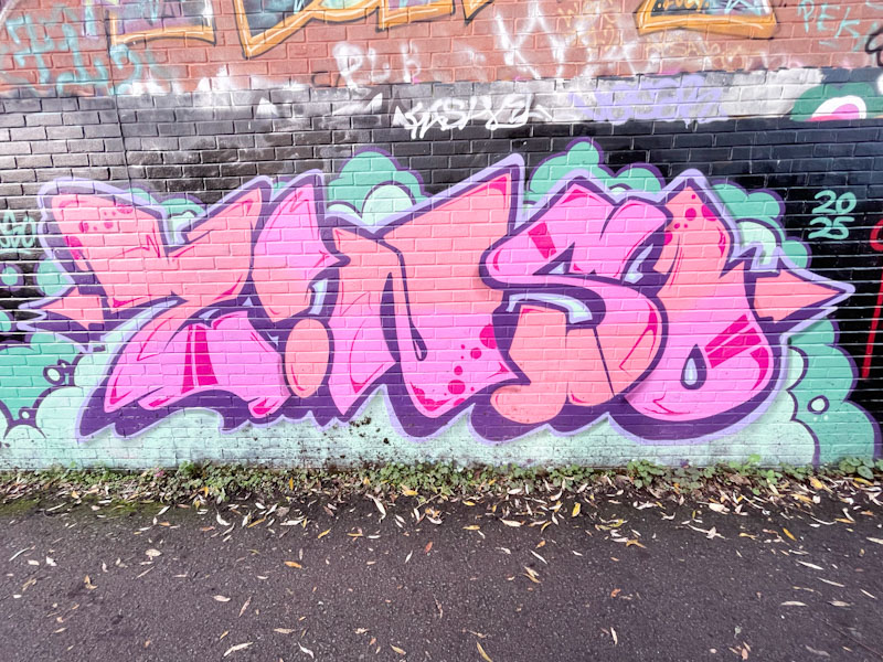 Zinso, River Avon, Bristol, November 2025