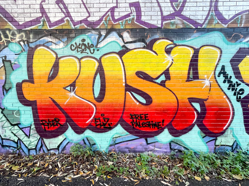 Kush, River Avon, Bristol, November 2025