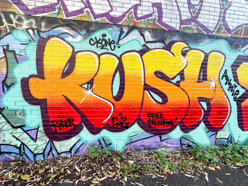 Kush, River Avon, Bristol, November 2025