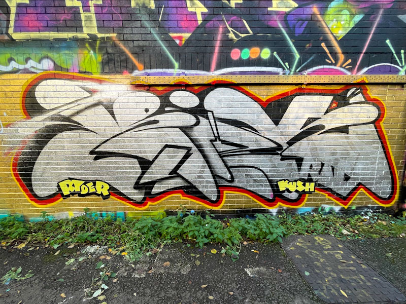 Mr Riks, River Avon, Bristol, November 2025