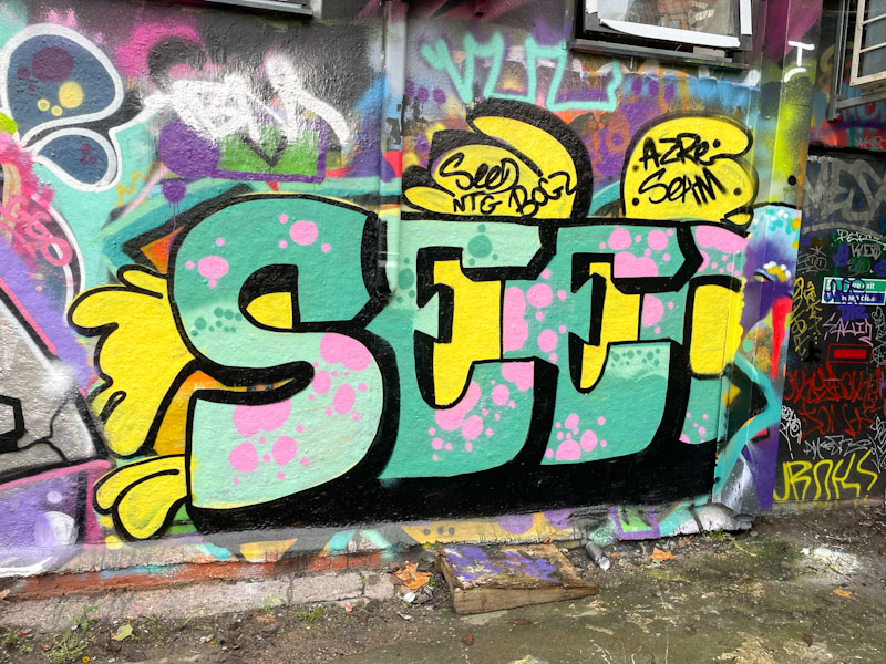 Seed, Dean Lane, Bristol, November 2025