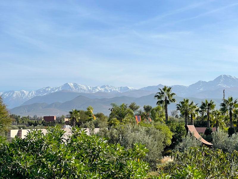 View of the High Atlas from the garden at Anima, Marrakesh, Morocco, January 2025