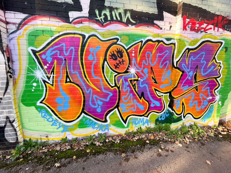 Nips, River Avon, Bristol, November 2025