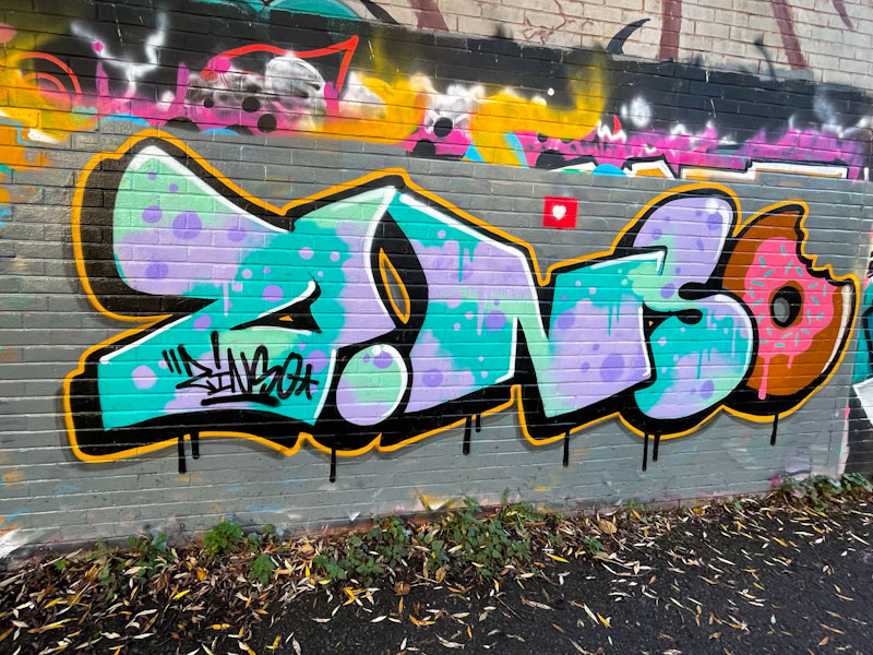 Zinso, River Avon, Bristol, November 2025