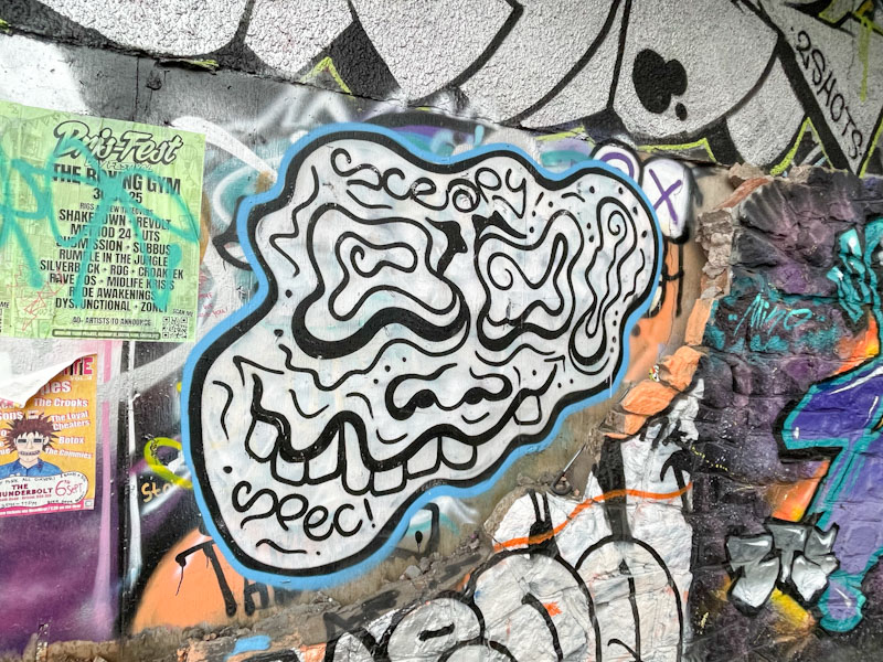 Scrapy, M32 Cycle path, Bristol, December 2025