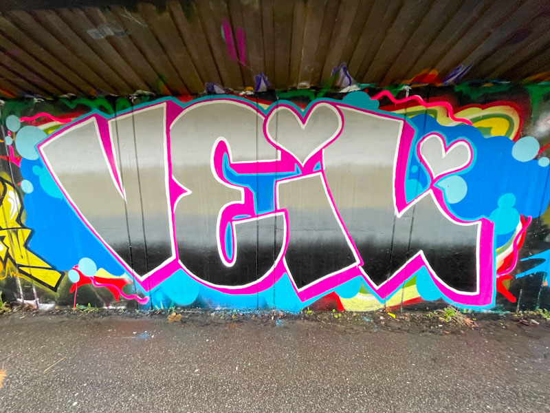 Desi, M32 Cycle path, Bristol, December 2025