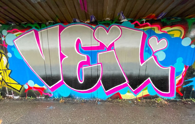 Desi, M32 Cycle path, Bristol, December 2025