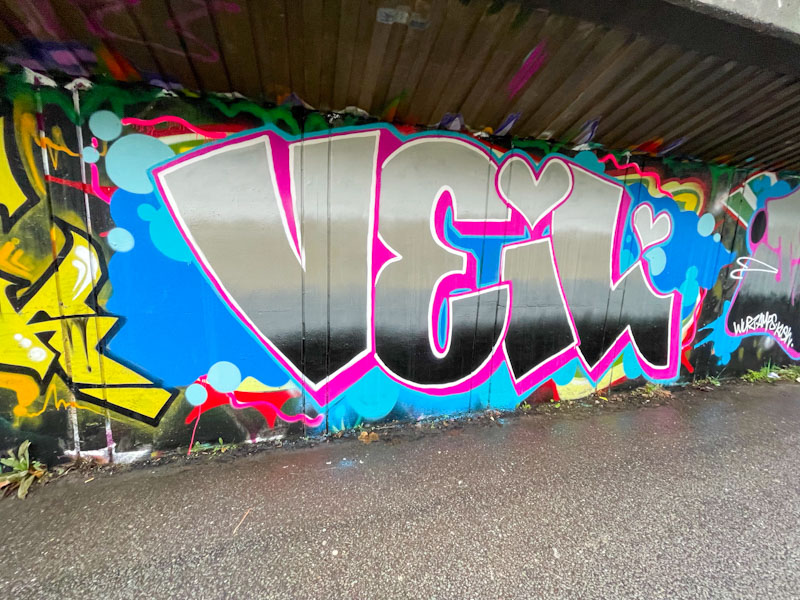 Desi, M32 Cycle path, Bristol, December 2025