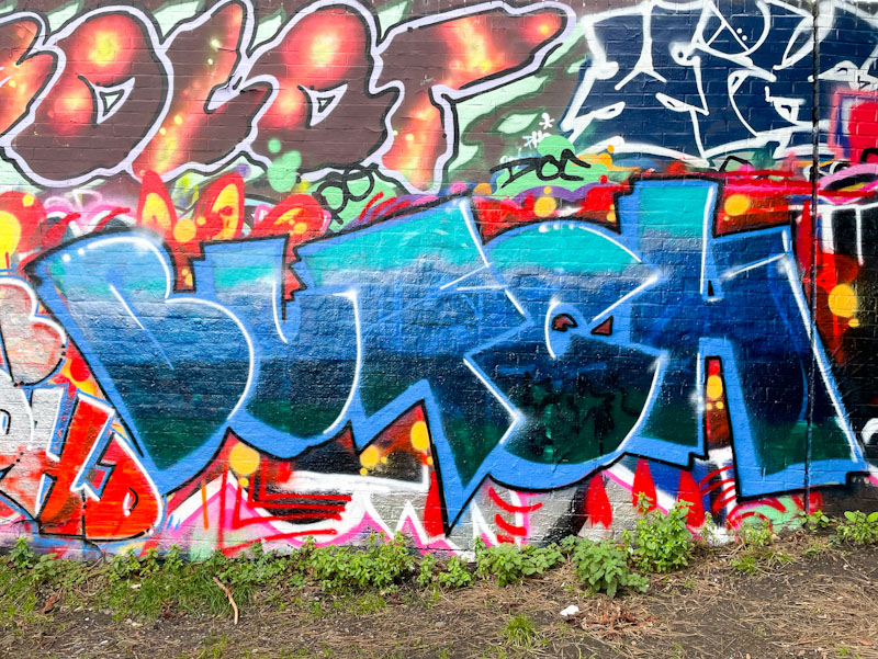 Butch, Montpelier Park, Bristol, December 2025