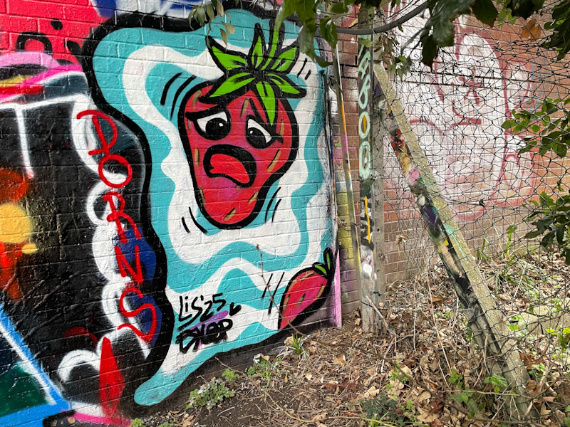 Lis, Montpelier Park, Bristol, December 2025