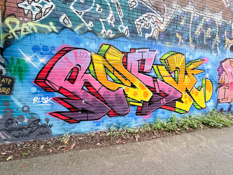 Rusk, River Avon, Bristol, December 2025