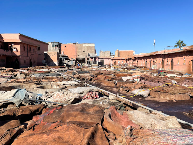 Hides for tanning, the Tanneries, Rue Errachidia, Marrakesh, Morocco, January 2025